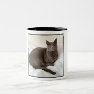 Zwei Ton Tasse, russische blaue Katze Zweifarbige Tasse