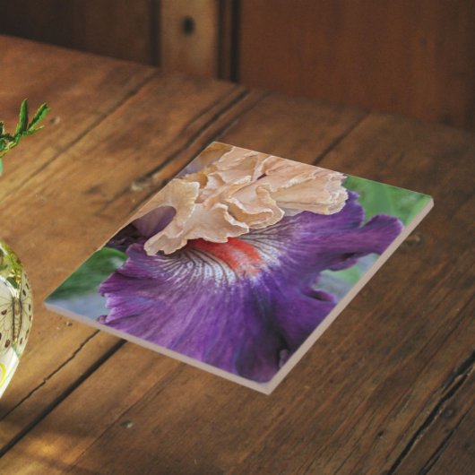Zwei-Tone-Bartete Iris Bloom Floral Fliese