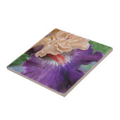 Zwei-Tone-Bartete Iris Bloom Floral Fliese (Seite)