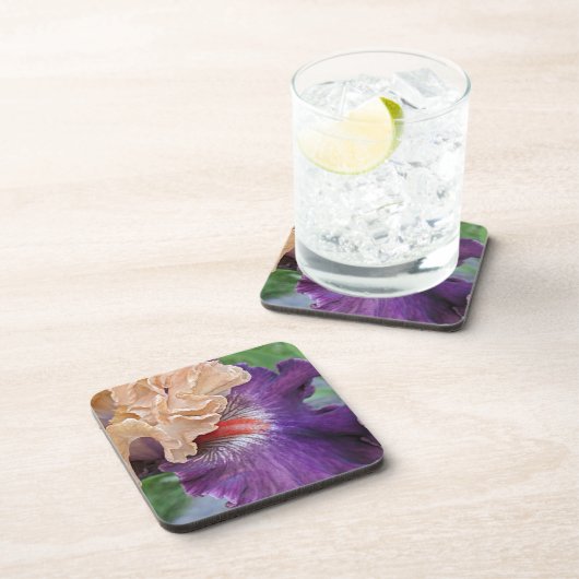 Zwei-Tone-Bartete Iris Bloom Floral Getränkeuntersetzer (Rechte Seite)