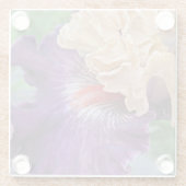Zwei-Tone-Bartete Iris Bloom Floral Glasuntersetzer (Rückseite)