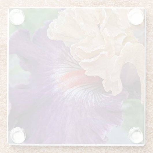 Zwei-Tone-Bartete Iris Bloom Floral Glasuntersetzer (Rückseite)