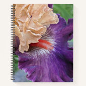Zwei-Tone-Bartete Iris Bloom Floral Notizblock (Vorderseite)