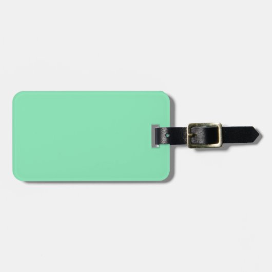 Zwei-Tone-Brawn & Mint-Green-Gepäckmarke Gepäckanhänger (Vorderseite horizontal)