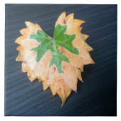 Zwei Tone Leaf Keramik Tile Fliese (Vorderseite)
