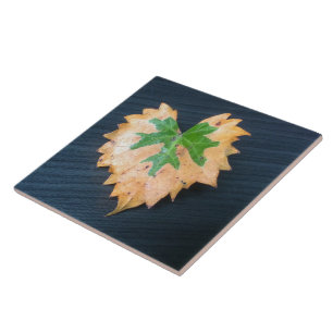 Zwei Tone Leaf Keramik Tile Fliese