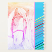 Zwei Tone (Regenbogen) Planer (Rückseite)