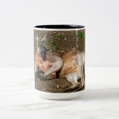 Zwei-Tone-Tasse, 444 ml Zweifarbige Tasse (Mittel)