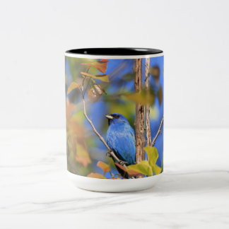 Zwei Töne Tasse mit Foto von indigo bunting