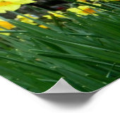 Zwei Tonen Poster (Ecke)