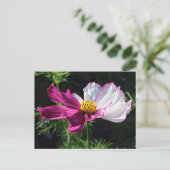 Zwei Tonsohlen, Bute Park, Cardiff, Wales Postkarte (Stehend Vorderseite)