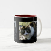 Zwei tonten Kitty-Tasse Zweifarbige Tasse (VorderseiteRechts)