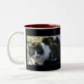 Zwei tonten Kitty-Tasse Zweifarbige Tasse (Links)