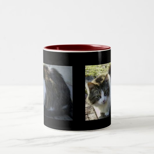 Zwei tonten Kitty-Tasse Zweifarbige Tasse (Mittel)