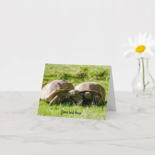 Zwei Tortoises - die besten Freunde! Grußkarte Karte (Kleines Gewächs)