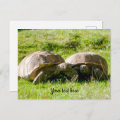 Zwei Tortoises - die besten Freunde! Postkarte (Vorne/Hinten)