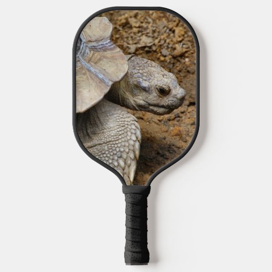 Zwei Tortoises Pickleball Schläger (Vorderseite)