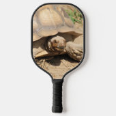 Zwei Tortoises Pickleball Schläger (Rückseite)