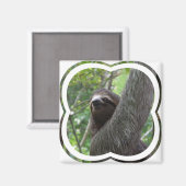 Zwei Tot Sloth Square Magnet (Vorderseite/Rückseite)