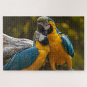 Zwei tropische Vögel Jigsaw Puzzle (Horizontal)