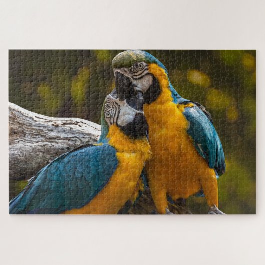 Zwei tropische Vögel Jigsaw Puzzle (Horizontal)