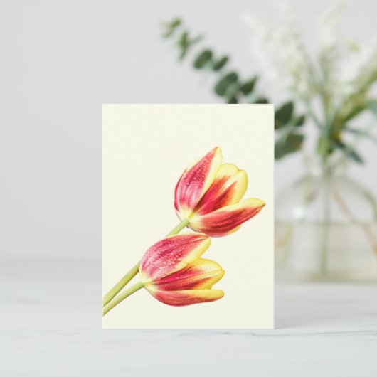 Zwei Tulips Postkarte (Stehend Vorderseite)