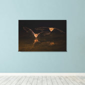 Zwei über Wasser fliegende Fledermäuse, Arizona Leinwanddruck (Insitu (Holzboden))