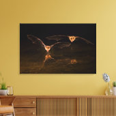 Zwei über Wasser fliegende Fledermäuse, Arizona Leinwanddruck (Insitu (Wohnzimmer))