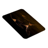 Zwei über Wasser fliegende Fledermäuse, Arizona Magnet (Rechte Seite)