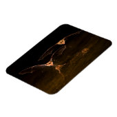 Zwei über Wasser fliegende Fledermäuse, Arizona Magnet (Linke Seite)