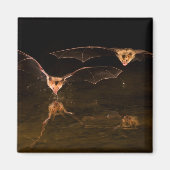 Zwei über Wasser fliegende Fledermäuse, Arizona Magnet (Vorne)