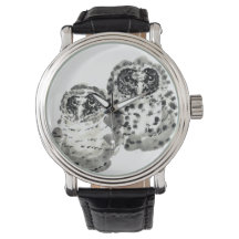 Zwei Uhenküken ahmen Tinte