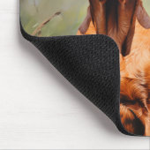 Zwei ungarische Vizslas Mousepad (Ecke)