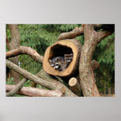 Zwei Unternehmen Poster (Vorne)