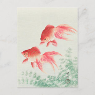 Zwei Veil Goldfish Gemälde von Ohara Koson Postkarte