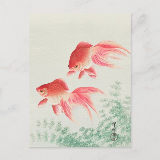 Zwei Veil Goldfish Gemälde von Ohara Koson Postkarte (Vorderseite)