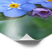 Zwei Vergessen-Me-Nots 10x8 Fotodruck (Ecke)