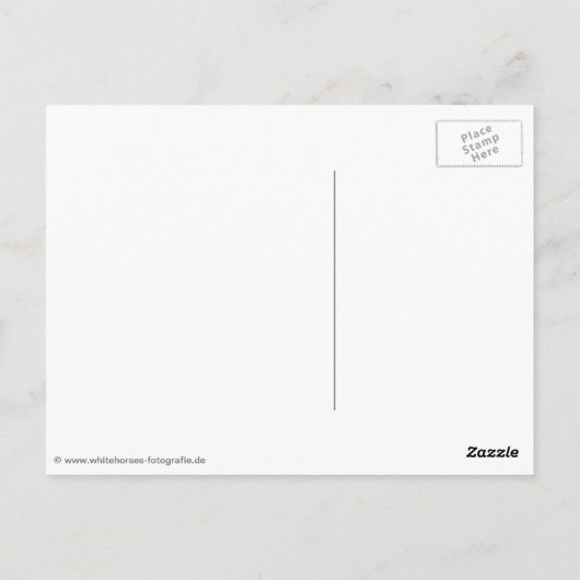 zwei verliebte Pferde Postkarte (Rückseite)