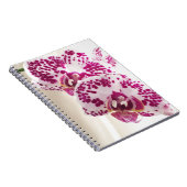 Zwei verschiedene weiße und Lila Orchideen Notizblock (Rechte Seite)