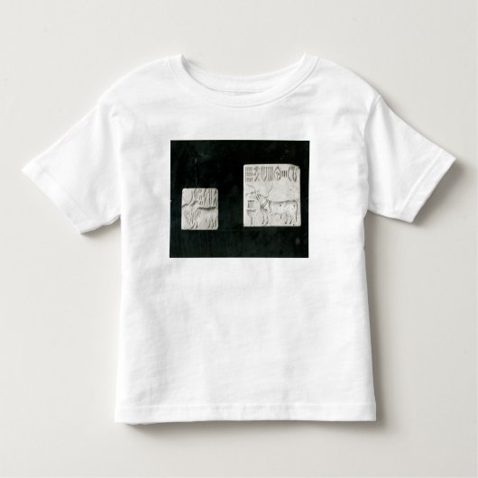 Zwei verzierten das Siegel, das ein Zebu und ein a Kleinkind T-shirt (Vorderseite)