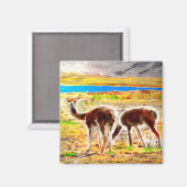 Zwei Vicunas Andes Mountains Peru Magnet (Vorderseite/Rückseite)