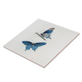 Zwei Vintage blaue Schmetterlinge Fliese (Seite)