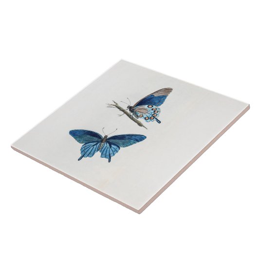 Zwei Vintage blaue Schmetterlinge Fliese (Seite)