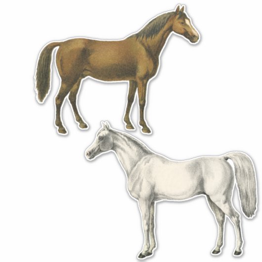 Zwei Vintage Pferde Aufkleber (Vorderseite)