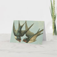 Zwei Vintage Schwalben