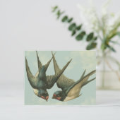 Zwei Vintage Schwalben Postkarte (Stehend Vorderseite)