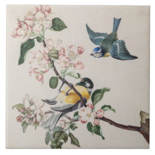 Zwei Vintage Zehenvögel auf einem Apfelbaum Fliese