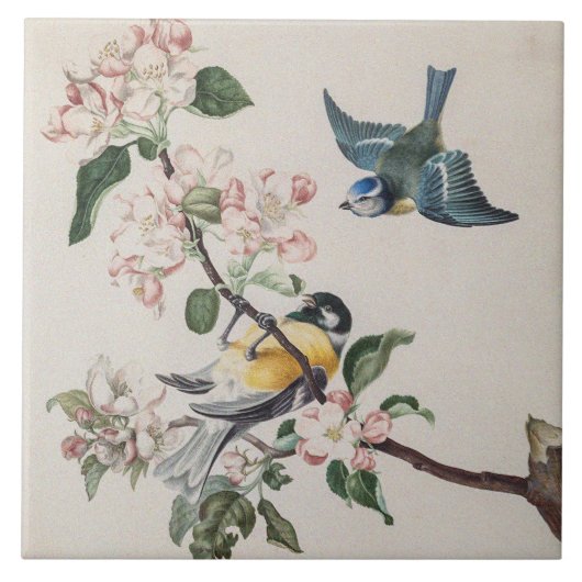 Zwei Vintage Zehenvögel auf einem Apfelbaum Fliese (Vorderseite)