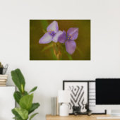 Zwei violette Blumen Art Wildblume Poster (Heimbüro)