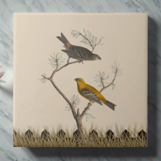 Zwei Vögel Harmonische Keramik Tile Fliese